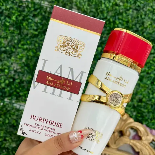 Perfume dupe Ana Abiyedh Lattafa - Burphrise ECP13